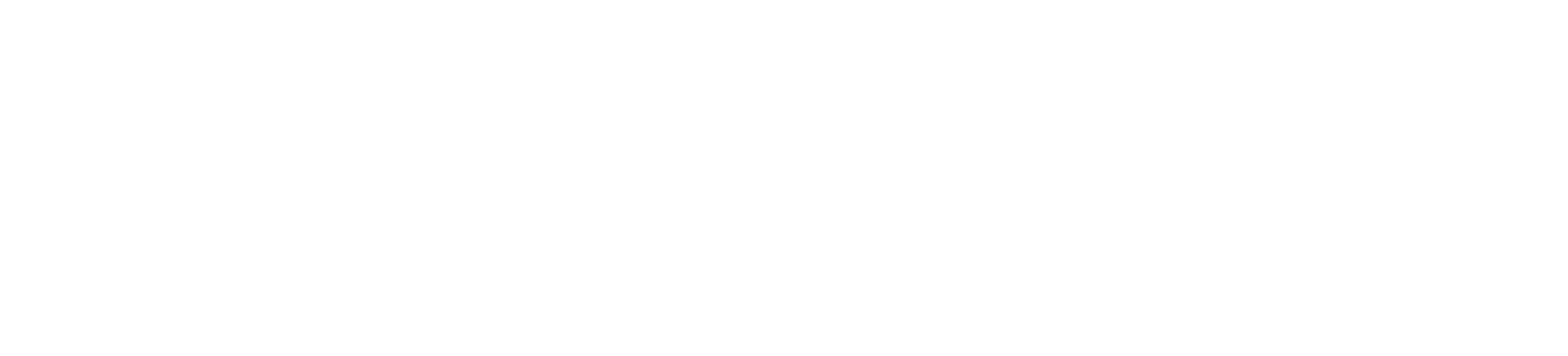 Daniel Speyer GmbH Inline Logo